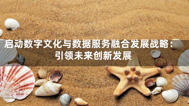 启动数字文化与数据服务融合发展战略：引领未来创新发展