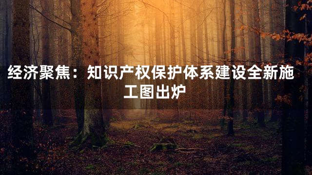 经济聚焦：知识产权保护体系建设全新施工图出炉