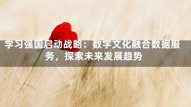 学习强国启动战略：数字文化融合数据服务，探索未来发展趋势