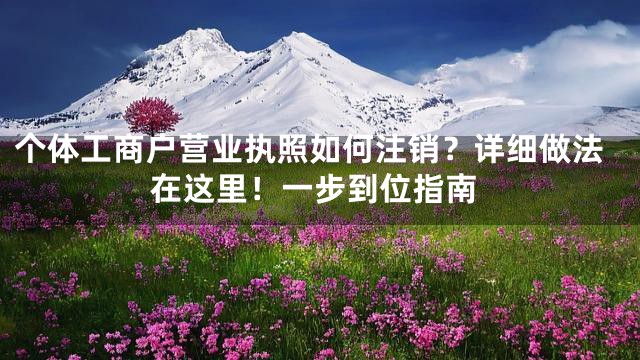 个体工商户营业执照如何注销？详细做法在这里！一步到位指南