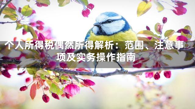 个人所得税偶然所得解析：范围、注意事项及实务操作指南