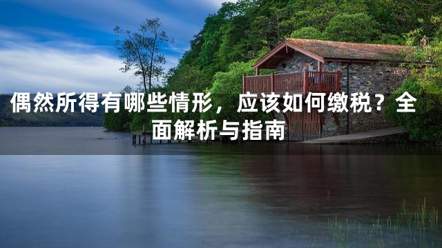 偶然所得有哪些情形，应该如何缴税？全面解析与指南