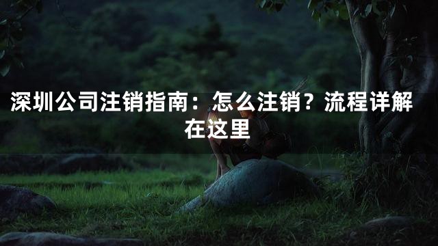 深圳公司注销指南：怎么注销？流程详解在这里