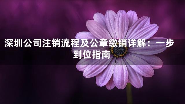 深圳公司注销流程及公章缴销详解：一步到位指南
