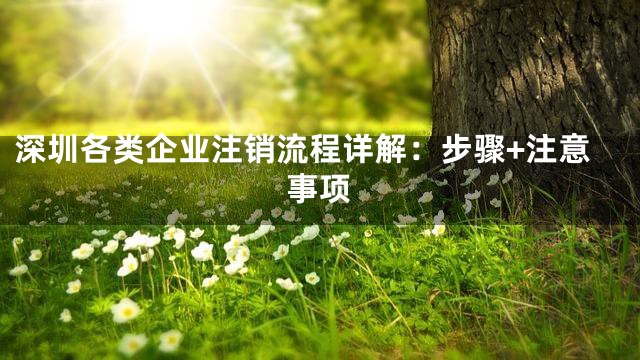 深圳各类企业注销流程详解：步骤+注意事项