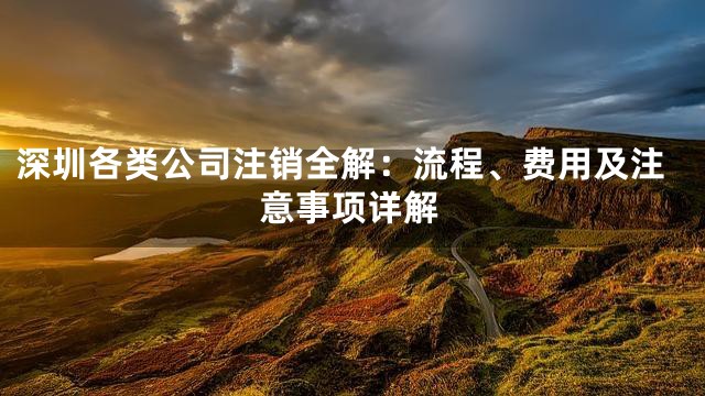 深圳各类公司注销全解：流程、费用及注意事项详解