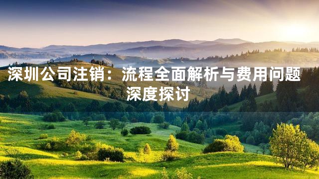 深圳公司注销：流程全面解析与费用问题深度探讨