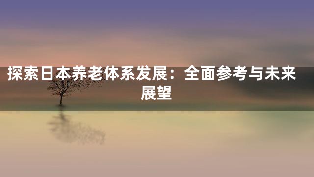 探索日本养老体系发展：全面参考与未来展望