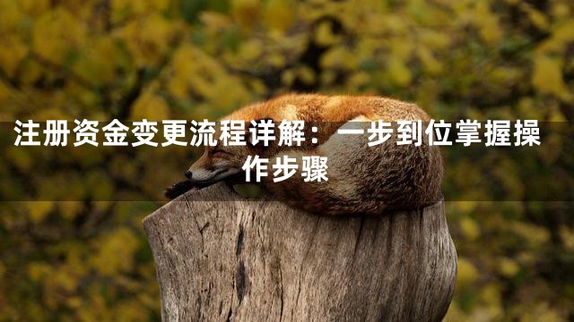 注册资金变更流程详解：一步到位掌握操作步骤