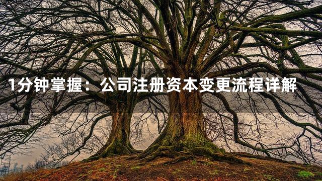 1分钟掌握：公司注册资本变更流程详解