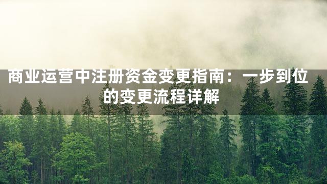 商业运营中注册资金变更指南：一步到位的变更流程详解