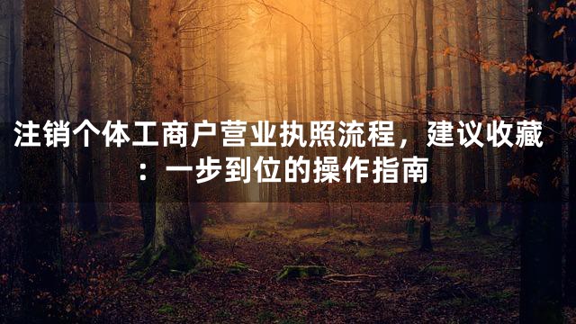 注销个体工商户营业执照流程，建议收藏：一步到位的操作指南