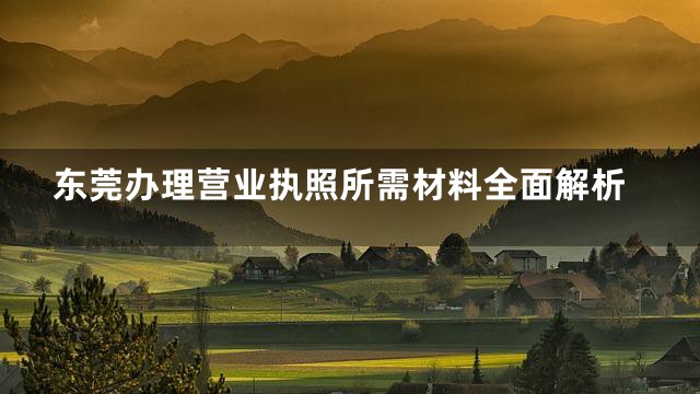 东莞办理营业执照所需材料全面解析