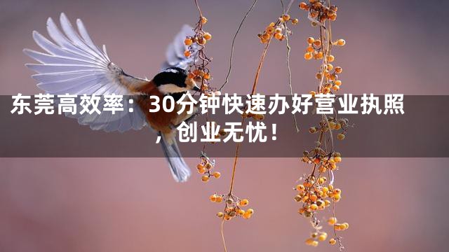东莞高效率：30分钟快速办好营业执照，创业无忧！