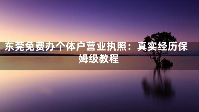 东莞免费办个体户营业执照：真实经历保姆级教程