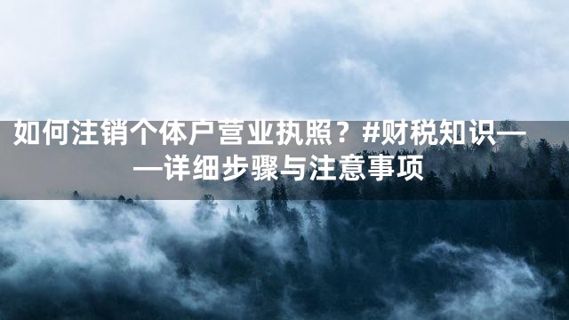 如何注销个体户营业执照？#财税知识——详细步骤与注意事项
