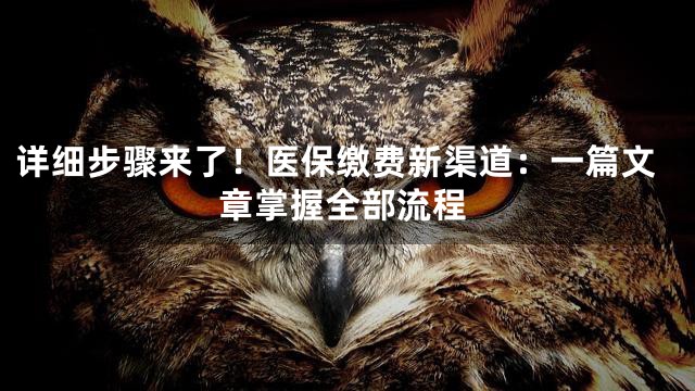详细步骤来了！医保缴费新渠道：一篇文章掌握全部流程