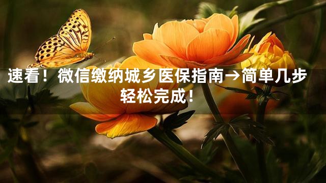 速看！微信缴纳城乡医保指南→简单几步轻松完成！