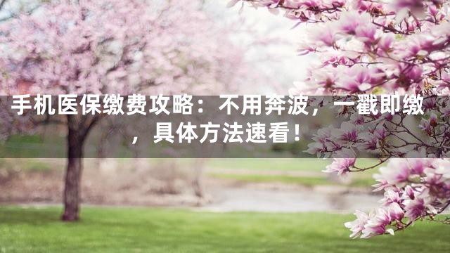 手机医保缴费攻略：不用奔波，一戳即缴，具体方法速看！