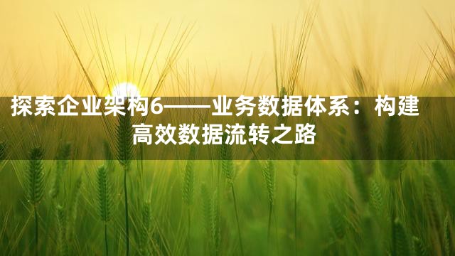 探索企业架构6——业务数据体系：构建高效数据流转之路
