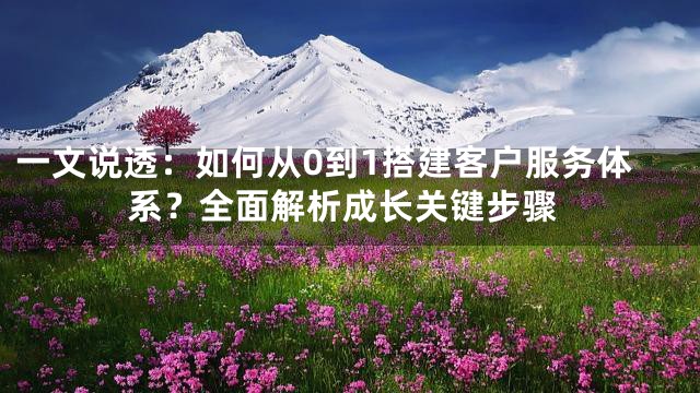 一文说透：如何从0到1搭建客户服务体系？全面解析成长关键步骤