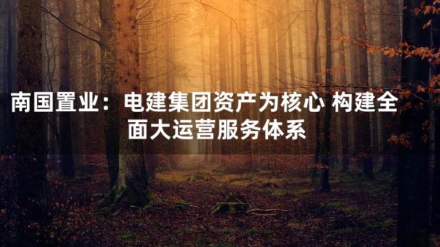 南国置业：电建集团资产为核心 构建全面大运营服务体系