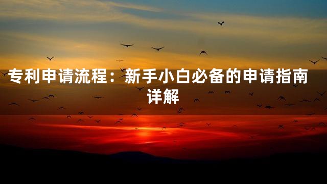 专利申请流程：新手小白必备的申请指南详解