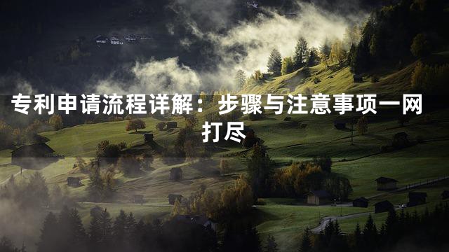 专利申请流程详解：步骤与注意事项一网打尽