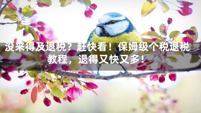 没来得及退税？赶快看！保姆级个税退税教程，退得又快又多！