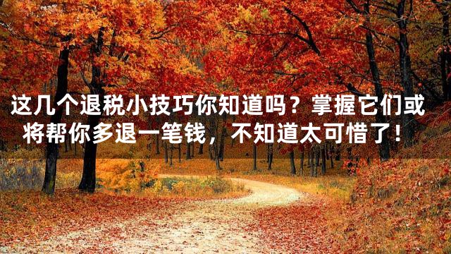 这几个退税小技巧你知道吗？掌握它们或将帮你多退一笔钱，不知道太可惜了！