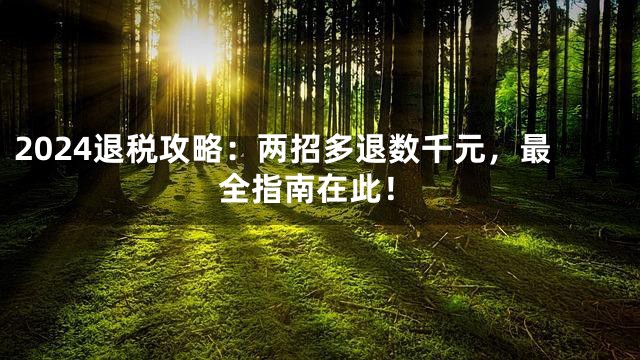 2024退税攻略：两招多退数千元，最全指南在此！