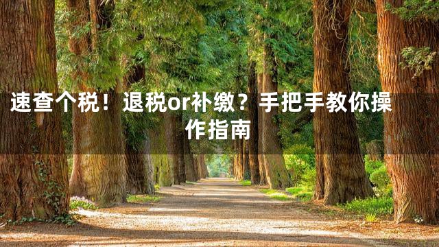 速查个税！退税or补缴？手把手教你操作指南