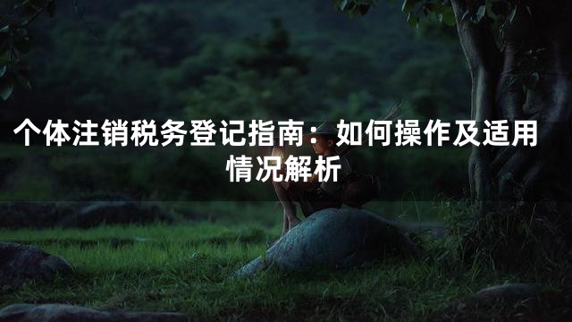 个体注销税务登记指南：如何操作及适用情况解析