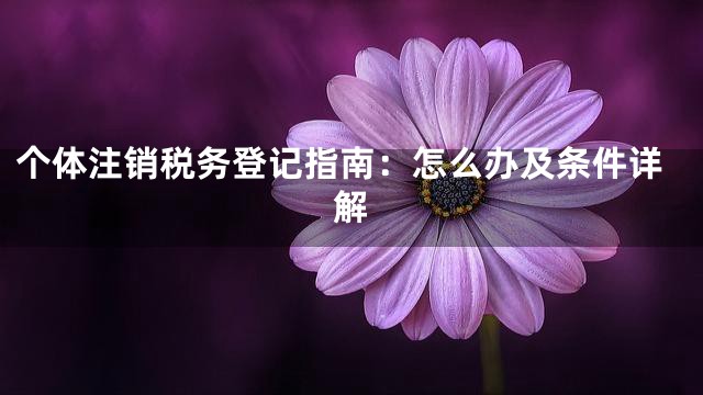 个体注销税务登记指南：怎么办及条件详解