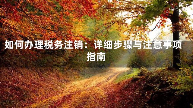 如何办理税务注销：详细步骤与注意事项指南