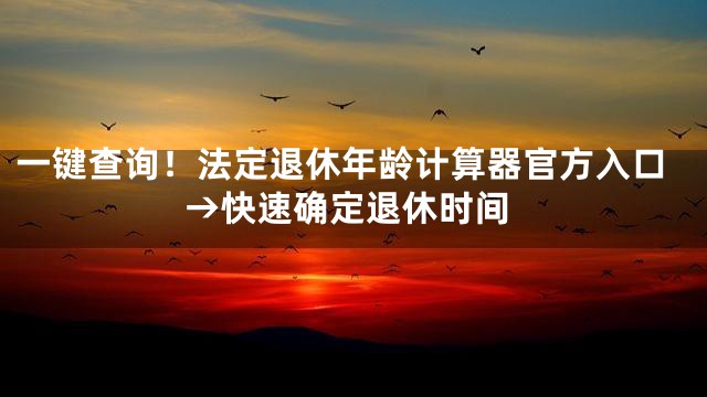 一键查询！法定退休年龄计算器官方入口→快速确定退休时间
