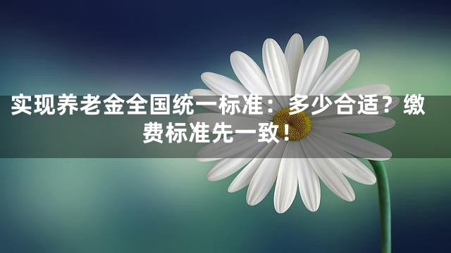 实现养老金全国统一标准：多少合适？缴费标准先一致！