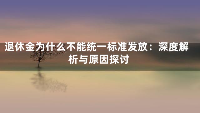 退休金为什么不能统一标准发放：深度解析与原因探讨