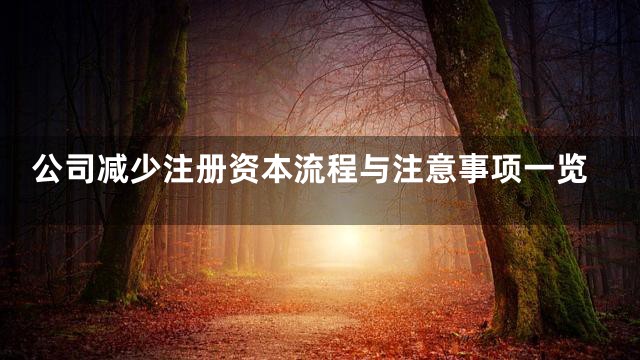 公司减少注册资本流程与注意事项一览