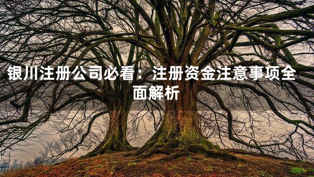 银川注册公司必看：注册资金注意事项全面解析
