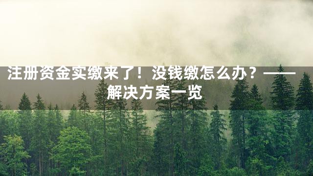 注册资金实缴来了！没钱缴怎么办？——解决方案一览