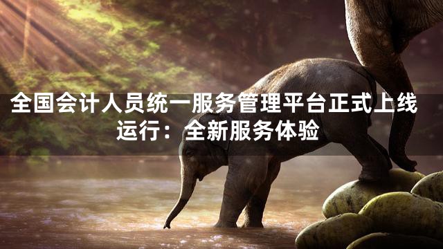 全国会计人员统一服务管理平台正式上线运行：全新服务体验