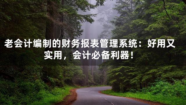 老会计编制的财务报表管理系统：好用又实用，会计必备利器！