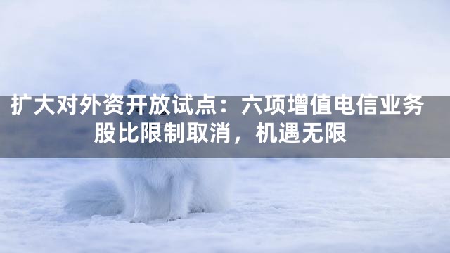 扩大对外资开放试点：六项增值电信业务股比限制取消，机遇无限