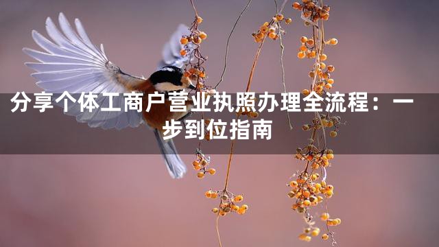 分享个体工商户营业执照办理全流程：一步到位指南