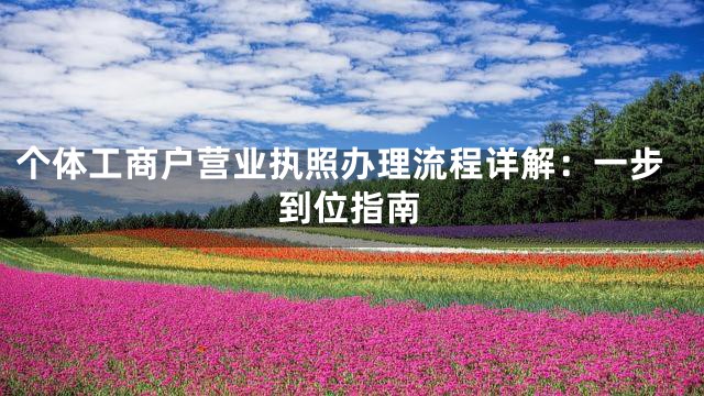 个体工商户营业执照办理流程详解：一步到位指南