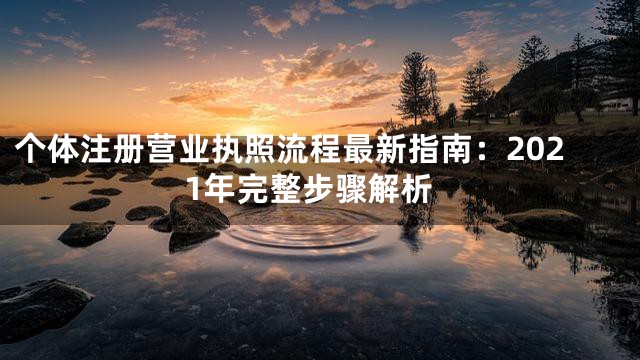 个体注册营业执照流程最新指南：2021年完整步骤解析