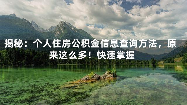 揭秘：个人住房公积金信息查询方法，原来这么多！快速掌握