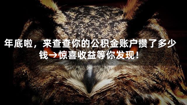 年底啦，来查查你的公积金账户攒了多少钱→惊喜收益等你发现！
