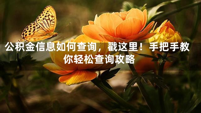 公积金信息如何查询，戳这里！手把手教你轻松查询攻略